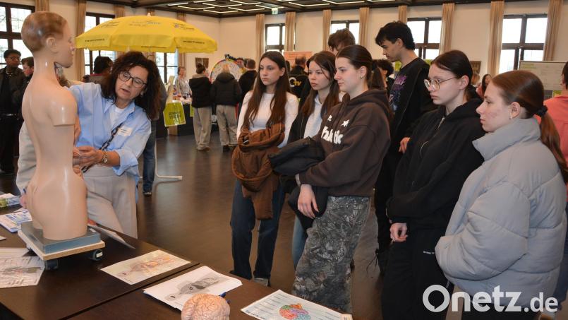 Kennenlernen des menschlichen Körpers: Die Mittelschüler hörten interessiert zu. Bild: jr