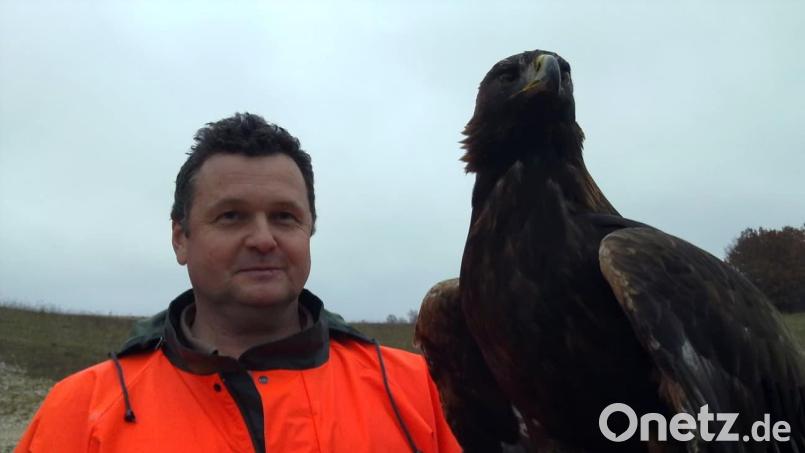Andreas Irle mit einem Seeadler. Die Raubvögel wurden um 1990 wieder auf dem Truppenübungsplatz heimisch. Bild: Michael Winter