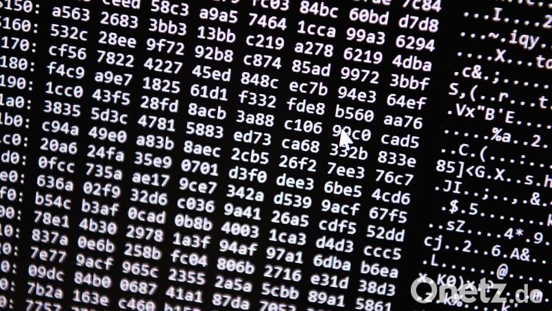 Neue Tools ermöglichten einen Schlag gegen ein Betrugs-Netzwerk im Darknet. (Symbolbild) Bild: Nicolas Armer/dpa