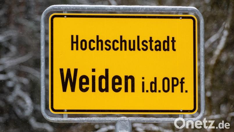 In Weiden in der Oberpfalz gibt es einen Wechsel im Rathaus. (Symbolbild) Bild: Armin Weigel/dpa