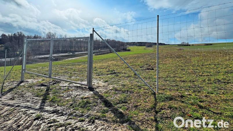 Entlang der B303 bei Marktredwitz entsteht die neue Freiflächen-Photovoltaikanlage. Bild: Matthias Bäumler