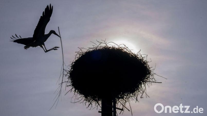 Vereinzelt kommt die Sonne durch, doch oft bleibt es Anfang der Woche bewölkt im Freistaat. (Archivbild) Bild: Pia Bayer/dpa