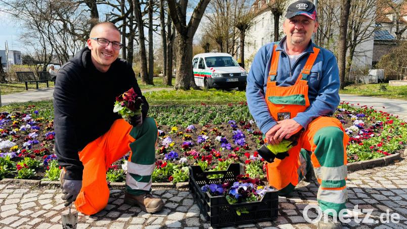 Markus Braun (links), Gerhard Stade und weitere Mitarbeitende der Stadtgärtnerei lassen Weiden wieder erblühen. Bild: Stadt Weiden