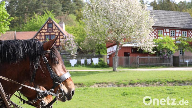 Es ist ein besonderes Erlebnis für Familien auf dem Gelände des Freilandmuseums Oberpfalz: Am Ostermontag können Besucher an einem interaktiven Ostersuchspiel teilnehmen. Bild: Eva Gröninger