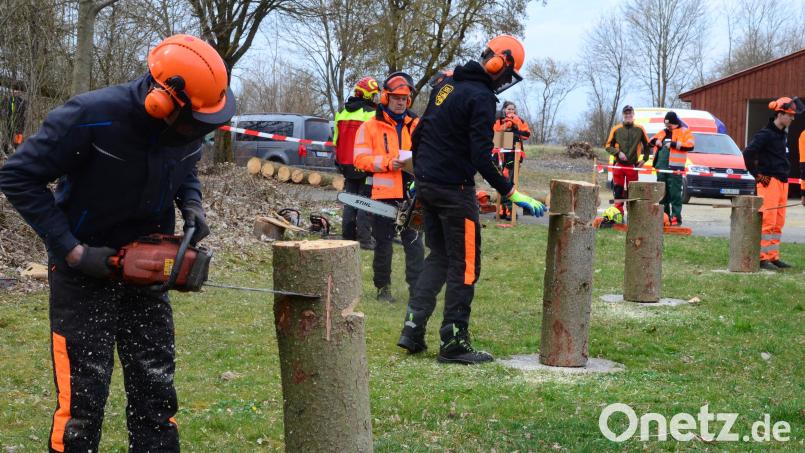 An einem senkrecht befestigten Stamm musste ein fachgerechter Sehnenfallkerb unter Einhaltung des Arbeitsverfahrens und der Unfallverhütungsvorschriften geschnitten werden. Bild: Kunz