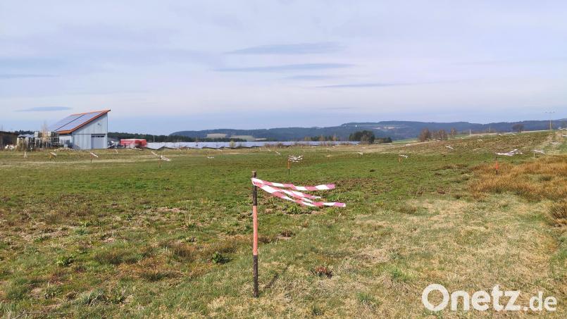 Der Stadtrat hat den Bebauungsplan für das "Gewerbegebiet am Biodiversitätspfad" zwischen der B22 und dem Ortsteil Hof gebilligt. Die Flatterbänder markieren nicht die Parzellen, sondern sollen die Feldlerchen vom Brüten auf dem Areal abhalten. Bild: Portner