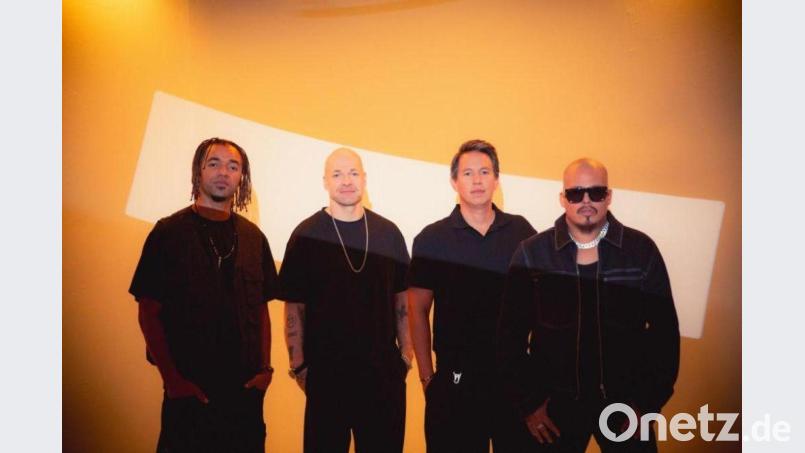 Die Band Culcha Candela kommt nach Burglengenfeld. Bild: Leon Hahn/exb