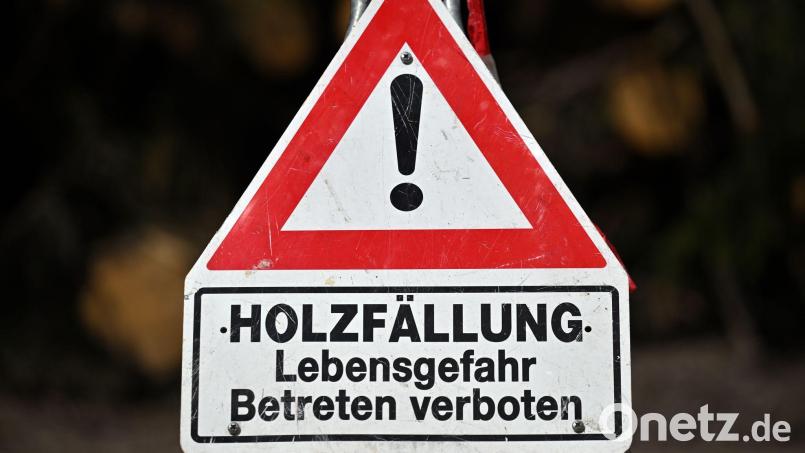 Ein Schild alleine reicht nicht zur Absicherung von Baumfällarbeiten. (Archivbild) Bild: Martin Schutt/dpa
