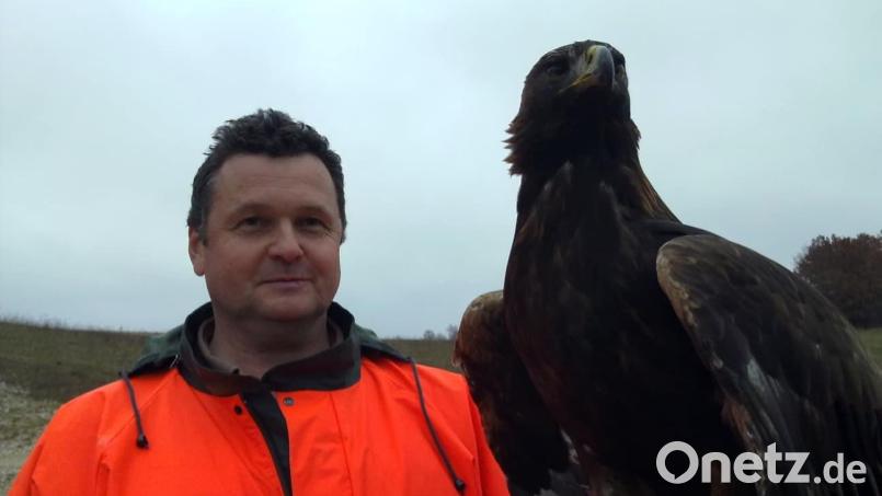 Andreas Irle mit einem Seeadler. Die Raubvögel wurden um 1990 wieder auf dem Truppenübungsplatz heimisch. Bild: Michael Winter
