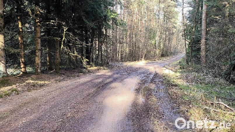 Das Landratsamt bemängelte den Zustand des Radweges im Gemeindebericht Pressath – hier im Bereich "Rotes Kreuz". Bild: jma