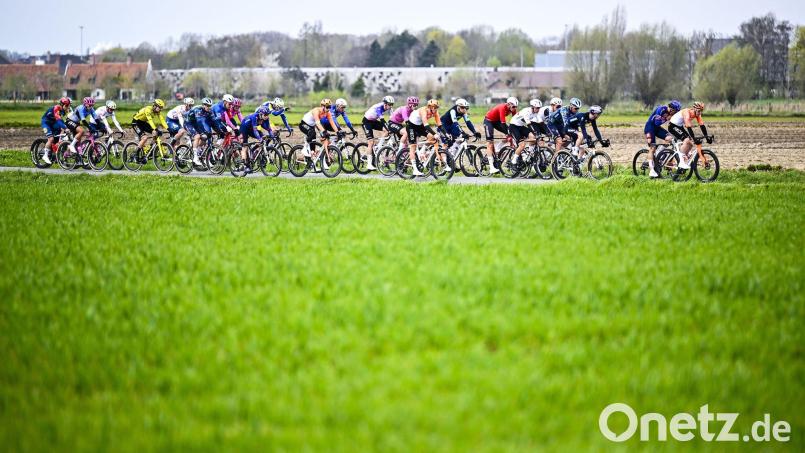 Mathieu van der Poel gewann zum dritten Mal in Serie den E3-Preis. Bild: Jasper Jacobs/Belga/dpa