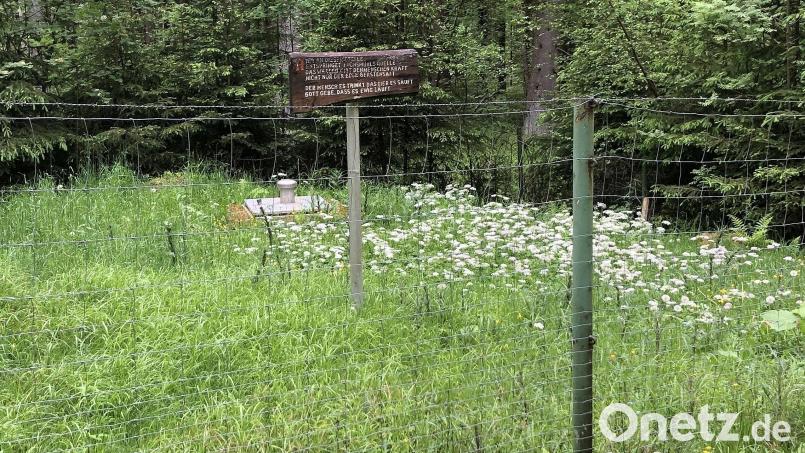Der Quellort "Steinernes Brünnerl" wurde vor 103 Jahren erbohrt und erschlossen. Heuer steht eine Sanierung an. Archivbild: wro