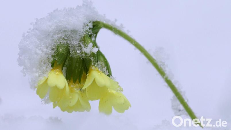 Die Osterferien beginnen mit ungemütlichem Wetter. (Archivbild) Bild: Karl-Josef Hildenbrand/dpa