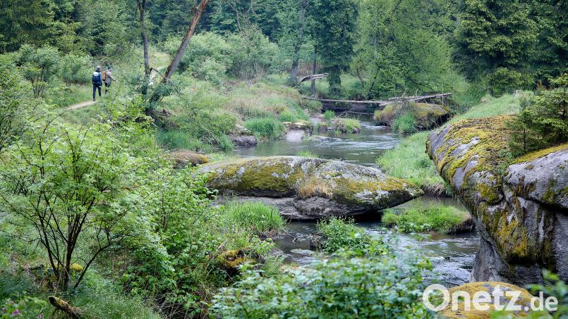 Eine Wanderung durchs Waldnaabtal von Reuth bei Erbendorf bis Windischeschenbach lässt sich auch mit der Bahn, ohne Auto erreichen. Die Infos dazu hat der VGN in seinen Freizeittipps zusammengestellt. Bild: VGN / Gaspar-Klein