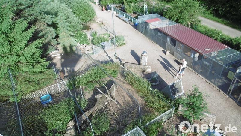Die Kümmersbucher Tierauffangstation, hier von oben gesehen, ist oft die letzte Rettung für so manche Tiere. Bild: mma