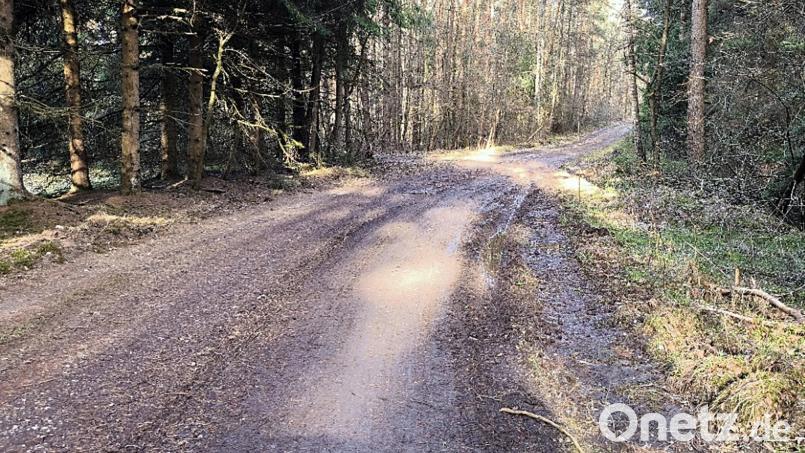 Das Landratsamt bemängelte den Zustand des Radweges im Gemeindebericht Pressath – hier im Bereich "Rotes Kreuz". Bild: jma