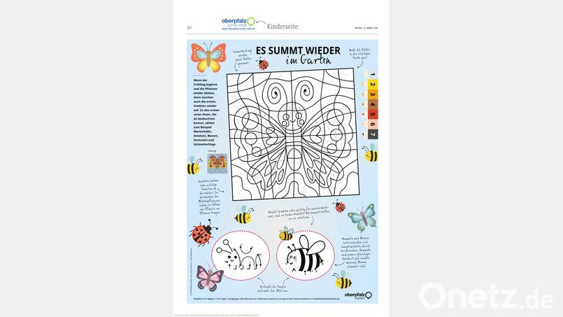 Malen und Rätseln. Bild: Oberpfalz Medien