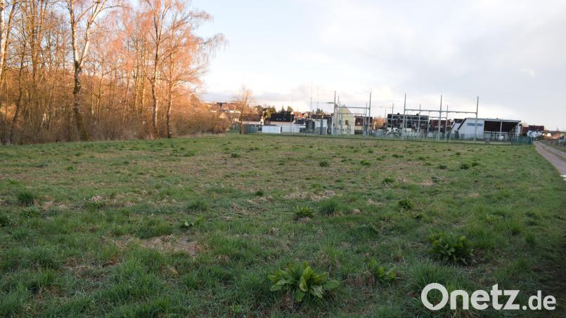 Östlich des Umspannwerks des Bayernwerks plant die Firma Voltgrün Energie, im Landschaftsschutzgebiet im Mies eine Photovoltaik-Freiflächenanlage zu errichten. Der Marktrat sprach sich dagegen aus. Bild: bnr