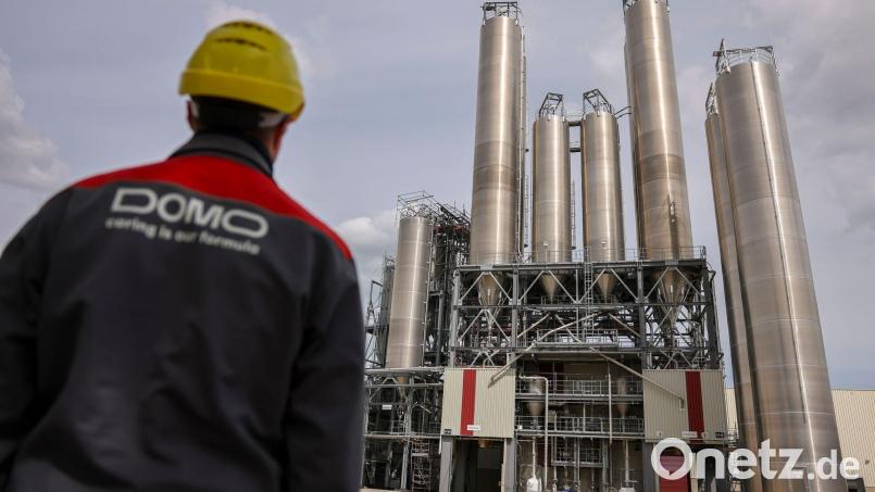 Die neue Gesellschaft in Leuna finanziert ab sofort vollumfänglich den Geschäftsbetrieb. (Archivbild) Bild: Jan Woitas/dpa