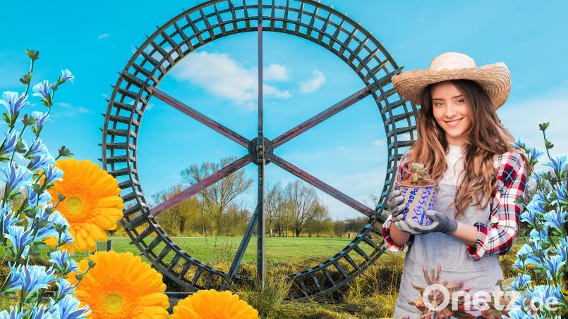 Die "Maiblüte" ist ein Fest für alle Sinne, das die Schönheit der Natur feiert und die Herzen der Besucher höher schlagen lässt. Bild: Mercedes Mayerl/exb