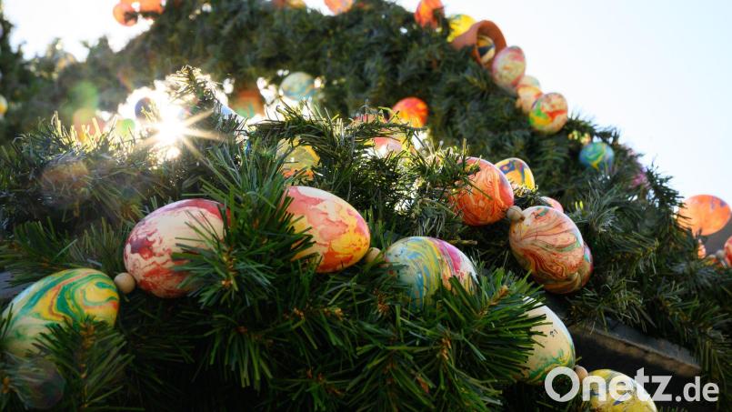 Die Chancen auf viel Sonnenschein sind bundesweit wohl am Montag am höchsten. Bild: Sebastian Gollnow/dpa