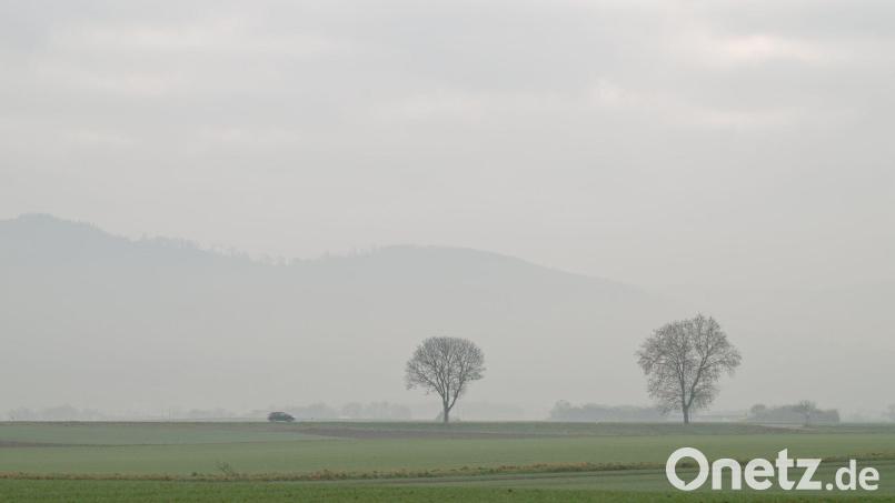 Markante Bäume prägen ein Landschaftsbild und fehlen, wenn sie nicht mehr da sind. Im Landkreis Amberg-Sulzbach wurde im März auf einem Privatgrundstück eine große Linde gefällt. Eine Leserin monierte den Zeitpunkt und wollte wissen, ob dieses Vorgehen rechtens war. Symbolbild: Uwe Anspach/dpa