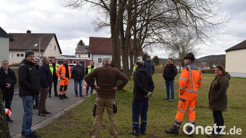 Das unbebaute Grundstück an den "Stadtweiherwiesen" soll an zwei Kaufinteressenten veräußert werden. Der Grundstücks-, Bau- und Umweltausschuss nahm das Grundstück bei einem Ortstermin in Augenschein. Bild: bnr