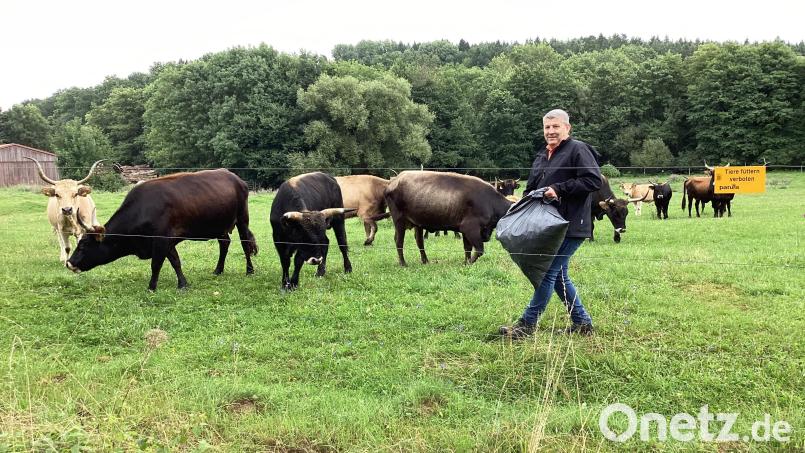 Die Tiere kennen Wolfgang Wiesent schon an der Stimme und kommen gerne angelaufen. Jedoch beschleunigt ein Leckerchen in Form von trockenen Semmeln oder Brezen das Ganze noch. Bild: mzi