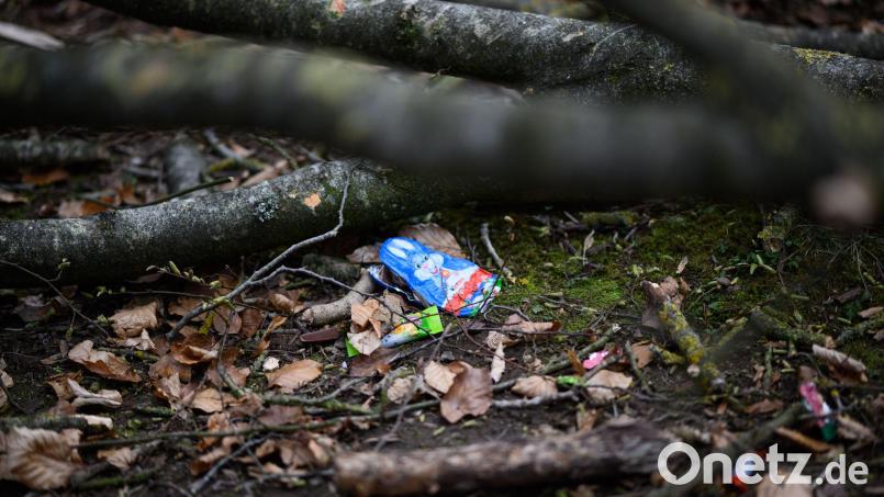 Durch einen umgestürzten Baum sind bei Flensburg drei Menschen ums Leben gekommen. Bild: Daniel Reinhardt/dpa