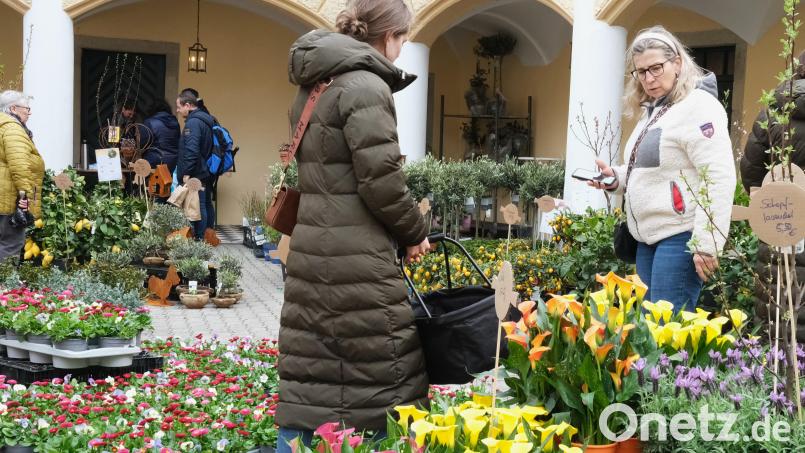 Die Farbenpracht auf dem österlich geschmückten Schlossgelände in Guteneck weckt bei den Besuchern die Vorfreude auf das anstehende Gartenjahr. Bild: Hirsch