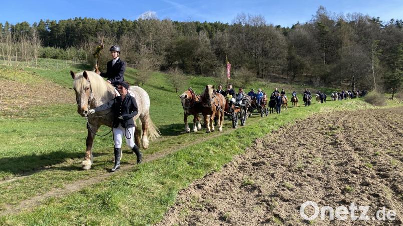 Quer durch die Stadt und mitten durch den Wald führt die Pferdeprozession Richtung Brünnlkirchlein oberhalb der Naabauen. Bild: aub