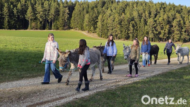 Entschleunigung und die freundliche Art der Esel würden die Esel-Touren besonders machen, sagt Eselhof-Chefin Elisabeth Pirner. Die Tiere sind für den Umgang mit Kindern ausgebildet – passieren könne da nichts. Bild: Elisabeth Pirner
