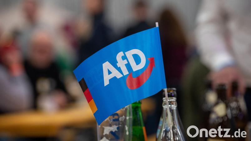 Die AfD hat im Kreistag Tirschenreuth eine neue Fraktion gegründet. Symbolbild: Harald Tittel/dpa