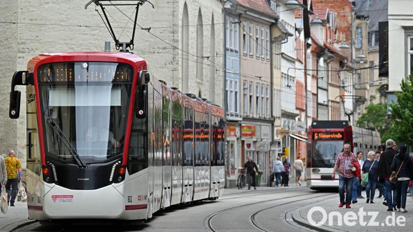 Im ÖPNV sind Straßenbahnen ein wichtiges Rückgrat. Bild: Martin Schutt/dpa