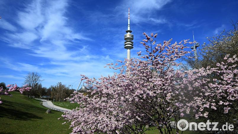 Am Mittwoch bleibt es sonnig. (Archivbild) Bild: Felix Hörhager/dpa
