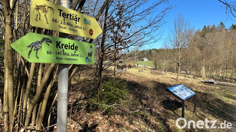 Im Geologischen Lehrpfad in Tännesberg findet am 27. Mai eine Geotour „In einem Land lang vor unserer Zeit“ statt. Bild: ck