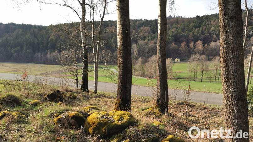 Wird es einen Naturfriedhof an der Straße zwischen Dautersdorf und Jedesbach mit Blick zur Wallfahrtskapelle Schönbuchen (im Hintergrund) geben? Die Antwort gibt es nach den Bürgerentscheid am 26. April. Bild: Portner