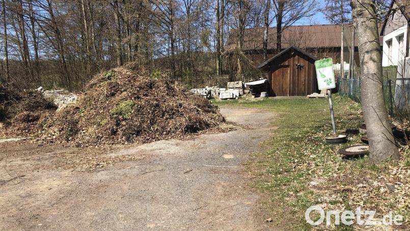 Der Grünabfall wird im Gemeindesüden gesammelt, in einen Container geladen und zu Erden-Ziegler transportiert. Bild: wro