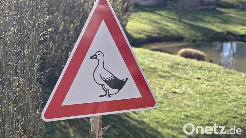 Ein nicht amtliches Verkehrszeichen „Freilaufende Ente“ wurde in Großalbershof gestohlen. Bildquelle: privat