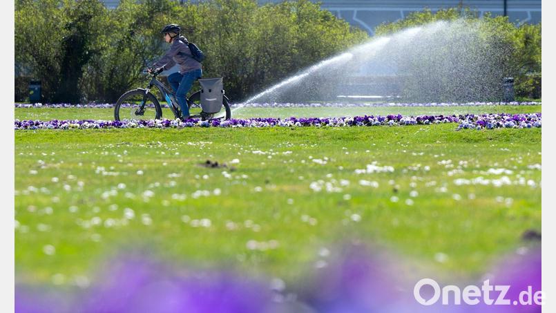Ein Wettermix aus Sonne, Wolken sagt der Deutsche Wetterdienst für die nächsten Tage voraus. (Archivfoto) Bild: Sven Hoppe/dpa