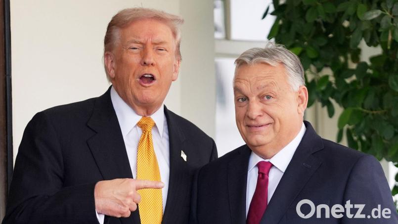 Trump betont bei Treffen immer sein gutes Verhältnis zu Orban. (Archivbild) Bild: Evan Vucci/AP/dpa
