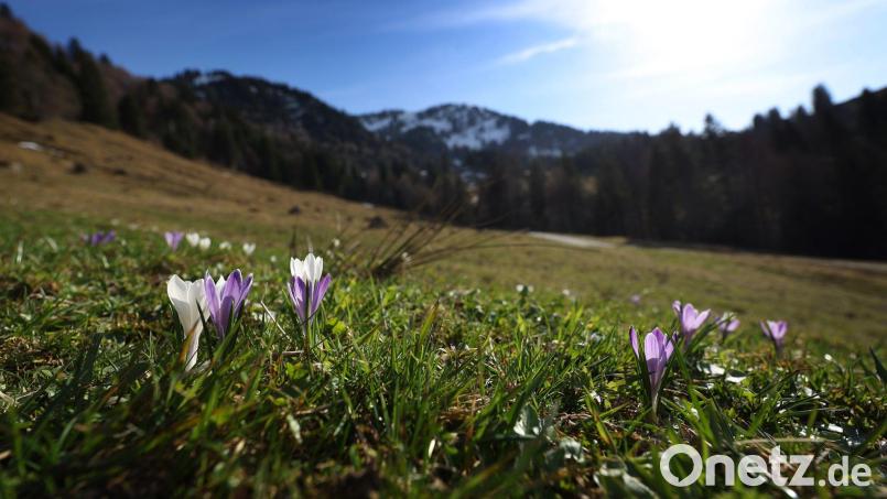 Frühlingsgefühle - und dann wieder Regen. Es bleibt das Aprilwetter. Bild: Karl-Josef Hildenbrand/dpa