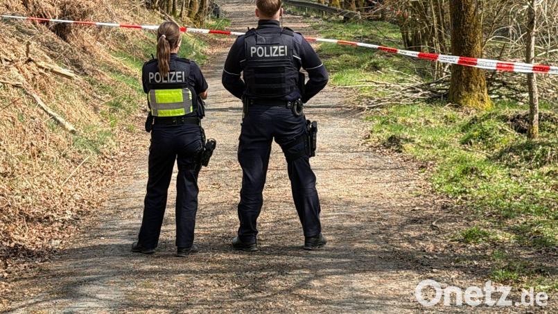 Ein Missverständnis führte zu einer Fällaktion im Wald bei Neukirchen b. Sulzbach-Rosenberg. Die Polizei ermittelt wegen Sachbeschädigung. Symbolbild: Berthold Stamm/dpa