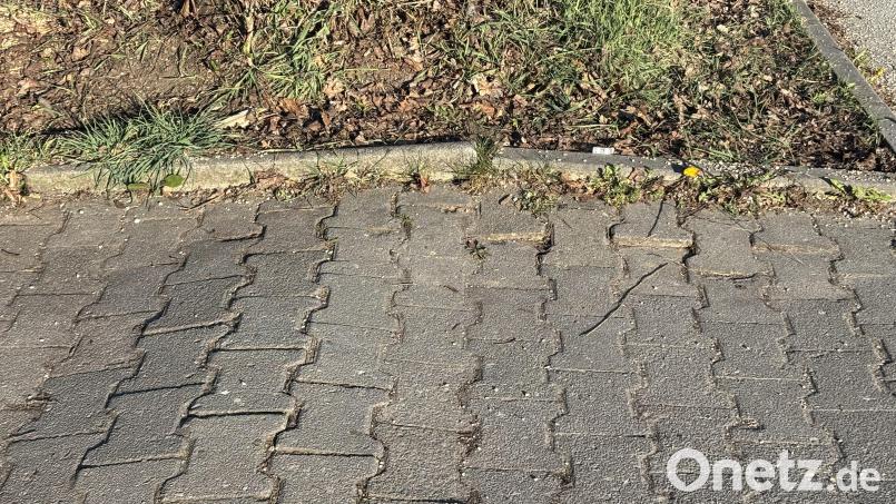 Die Wurzeln des am Zugang zum Parkplatz des Hockermühlbades gefällten Baumes haben wohl das Pflaster angehoben. Bild: san