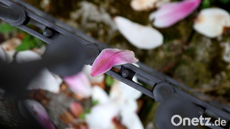 Nach einer frühlingshaften ersten Aprilwoche macht sich Regen breit. Bild: Karl-Josef Hildenbrand/dpa