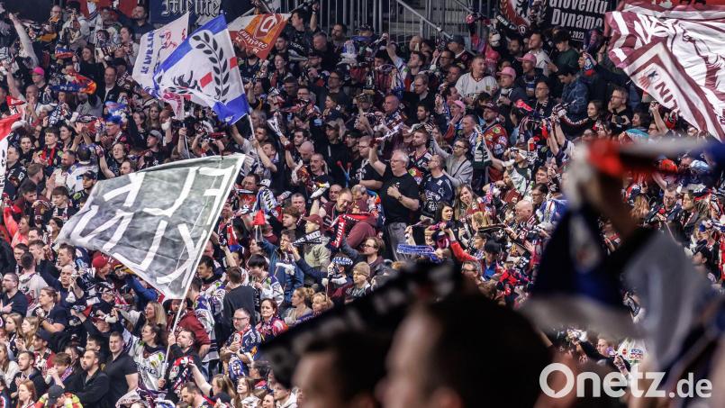 Die Eisbären spielten am Sonntag in Berlin gegen die Kölner. (Archivbild) Bild: Andreas Gora/dpa