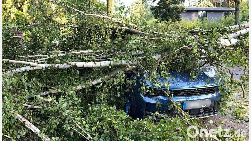 Bäume, die auf Autos stürzen, und andere Naturgefahren durch Unwetter richteten vergangenes Jahr deutlich weniger Schäden an. (Archivbild) Bild: Jens Dudziak/dpa