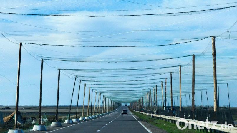 Netze über den Strtaßen bei Cherson sollen russische Drohnen abhalten. (Archivbild) Bild: Efrem Lukatsky/AP/dpa