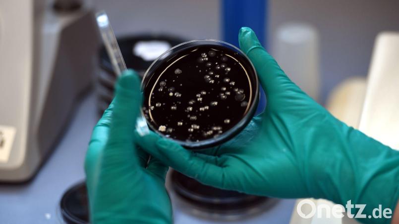 Nach einem Legionellen-Ausbruch in Ulm sind zwei Menschen gestorben. (Symbolbild) Bild: picture alliance / dpa