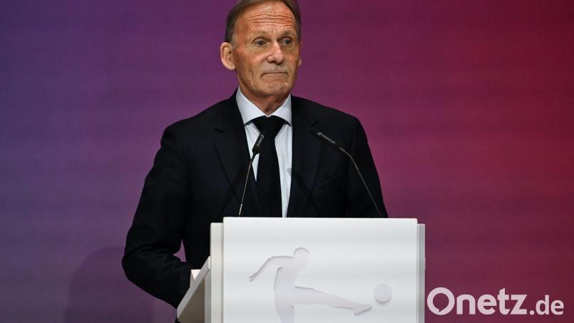 DFB-Vizepräsident Watzke blickt der WM mit gemischten Gefühlen entgegen. (Archiv) Bild: Florian Wiegand/dpa